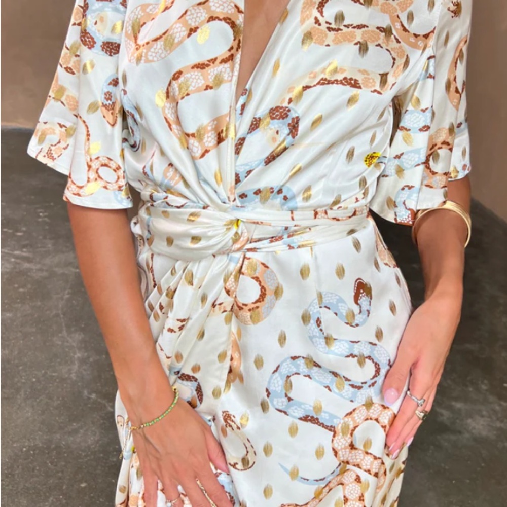 Never Fully Dressed Snake Print Long Sleeve Dress